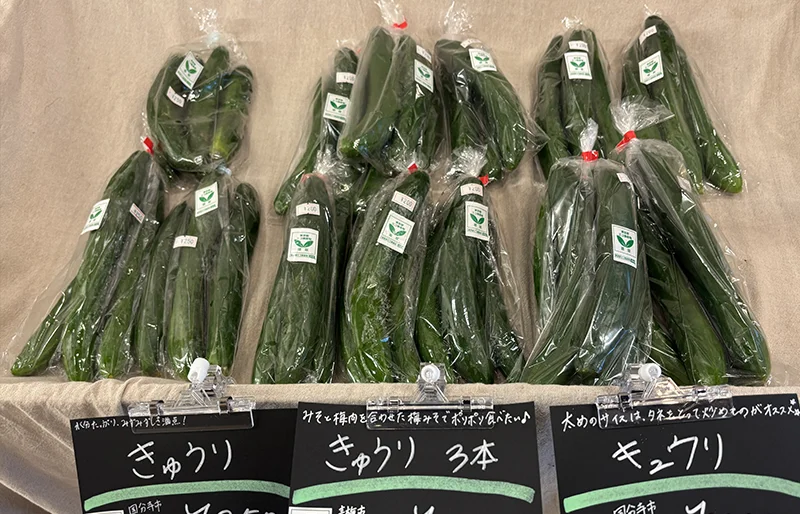 夏に欠かせない野菜「きゅうり」が店頭に並ぶ様子